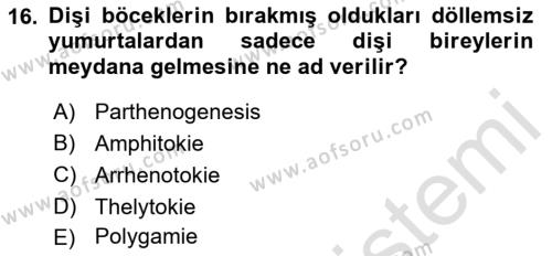 Entomoloji Dersi 2019 - 2020 Yılı (Vize) Ara Sınavı 16. Soru