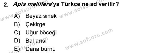 Entomoloji Dersi 2019 - 2020 Yılı (Vize) Ara Sınavı 2. Soru