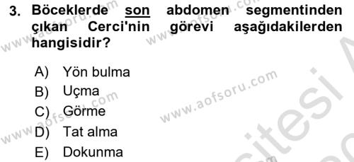 Entomoloji Dersi 2019 - 2020 Yılı (Vize) Ara Sınavı 3. Soru