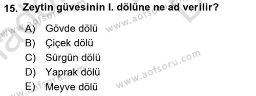 Entomoloji Dersi 2019 - 2020 Yılı (Final) Dönem Sonu Sınavı 15. Soru