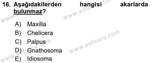 Entomoloji Dersi 2019 - 2020 Yılı (Final) Dönem Sonu Sınavı 16. Soru