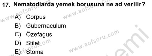 Entomoloji Dersi 2019 - 2020 Yılı (Final) Dönem Sonu Sınavı 17. Soru