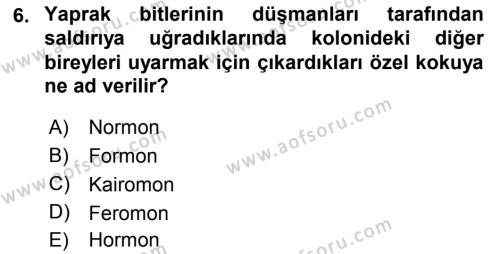 Entomoloji Dersi 2019 - 2020 Yılı (Final) Dönem Sonu Sınavı 6. Soru