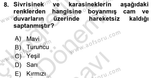 Entomoloji Dersi 2019 - 2020 Yılı (Final) Dönem Sonu Sınavı 8. Soru