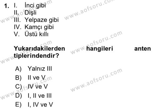 Entomoloji Dersi 2020 - 2021 Yılı Yaz Okulu Sınavı 1. Soru