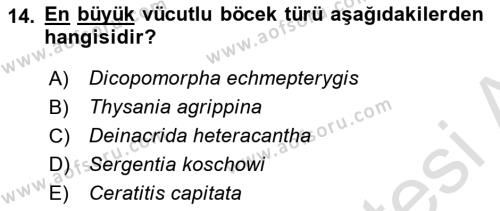 Entomoloji Dersi 2020 - 2021 Yılı Yaz Okulu Sınavı 14. Soru