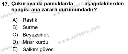 Entomoloji Dersi 2020 - 2021 Yılı Yaz Okulu Sınavı 17. Soru