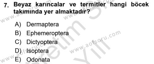 Entomoloji Dersi 2020 - 2021 Yılı Yaz Okulu Sınavı 7. Soru