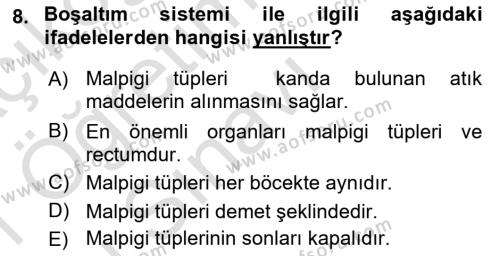 Entomoloji Dersi 2020 - 2021 Yılı Yaz Okulu Sınavı 8. Soru