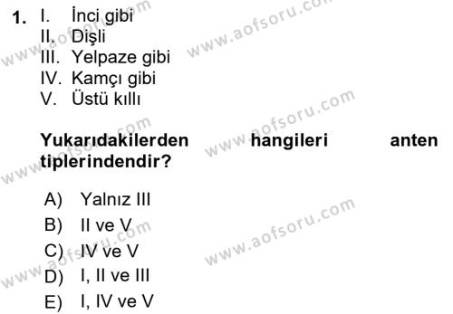 Entomoloji Dersi 2021 - 2022 Yılı (Final) Dönem Sonu Sınavı 1. Soru