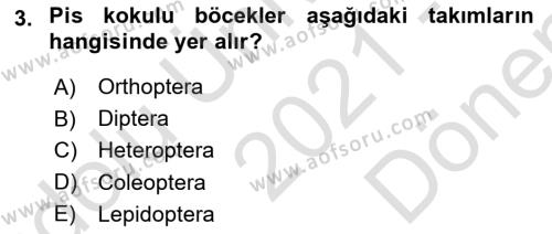 Entomoloji Dersi 2021 - 2022 Yılı (Final) Dönem Sonu Sınavı 3. Soru