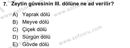 Entomoloji Dersi 2021 - 2022 Yılı (Final) Dönem Sonu Sınavı 7. Soru