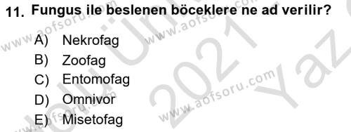 Entomoloji Dersi 2021 - 2022 Yılı Yaz Okulu Sınavı 11. Soru