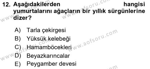 Entomoloji Dersi 2021 - 2022 Yılı Yaz Okulu Sınavı 12. Soru