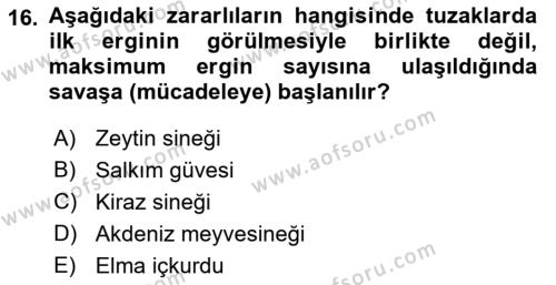 Entomoloji Dersi 2021 - 2022 Yılı Yaz Okulu Sınavı 16. Soru