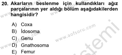 Entomoloji Dersi 2021 - 2022 Yılı Yaz Okulu Sınavı 20. Soru