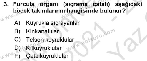 Entomoloji Dersi 2021 - 2022 Yılı Yaz Okulu Sınavı 3. Soru