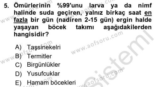 Entomoloji Dersi 2021 - 2022 Yılı Yaz Okulu Sınavı 5. Soru