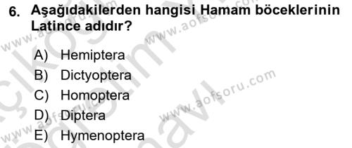 Entomoloji Dersi 2021 - 2022 Yılı Yaz Okulu Sınavı 6. Soru