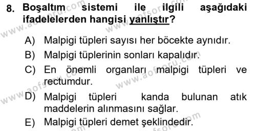 Entomoloji Dersi 2021 - 2022 Yılı Yaz Okulu Sınavı 8. Soru