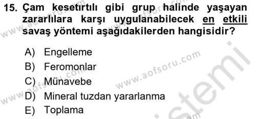 Entomoloji Dersi 2022 - 2023 Yılı (Final) Dönem Sonu Sınavı 15. Soru