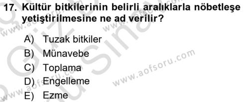 Entomoloji Dersi 2022 - 2023 Yılı (Final) Dönem Sonu Sınavı 17. Soru