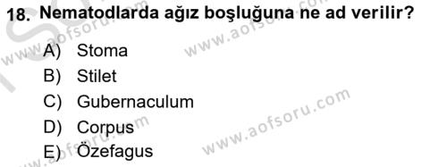 Entomoloji Dersi 2022 - 2023 Yılı (Final) Dönem Sonu Sınavı 18. Soru