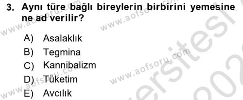 Entomoloji Dersi 2022 - 2023 Yılı (Final) Dönem Sonu Sınavı 3. Soru