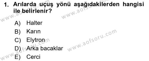 Entomoloji Dersi 2022 - 2023 Yılı Yaz Okulu Sınavı 1. Soru