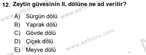 Entomoloji Dersi 2022 - 2023 Yılı Yaz Okulu Sınavı 12. Soru