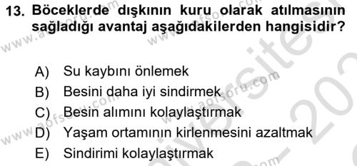 Entomoloji Dersi 2022 - 2023 Yılı Yaz Okulu Sınavı 13. Soru