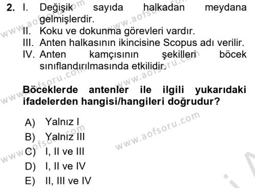 Entomoloji Dersi 2022 - 2023 Yılı Yaz Okulu Sınavı 2. Soru