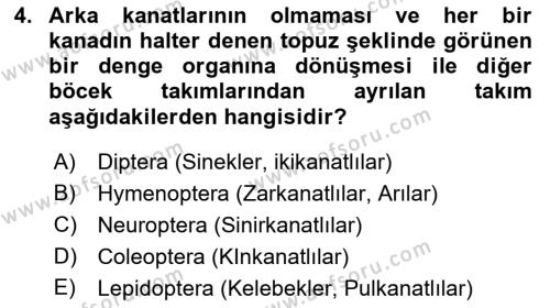 Entomoloji Dersi 2022 - 2023 Yılı Yaz Okulu Sınavı 4. Soru