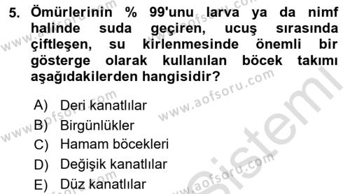 Entomoloji Dersi 2022 - 2023 Yılı Yaz Okulu Sınavı 5. Soru