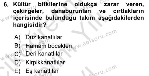 Entomoloji Dersi 2022 - 2023 Yılı Yaz Okulu Sınavı 6. Soru