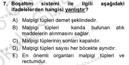 Entomoloji Dersi 2022 - 2023 Yılı Yaz Okulu Sınavı 7. Soru