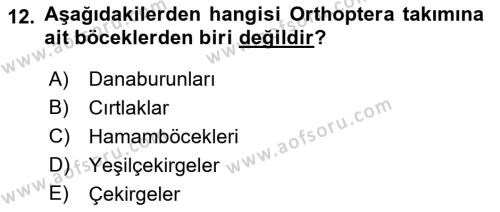 Entomoloji Dersi 2023 - 2024 Yılı (Vize) Ara Sınavı 12. Soru
