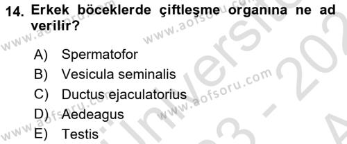 Entomoloji Dersi 2023 - 2024 Yılı (Vize) Ara Sınavı 14. Soru