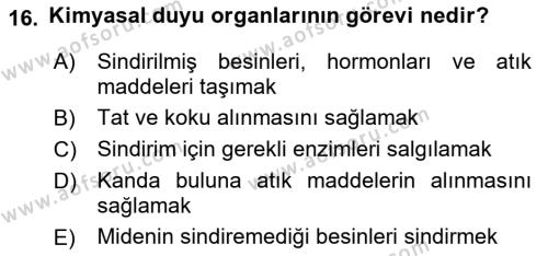 Entomoloji Dersi 2023 - 2024 Yılı (Vize) Ara Sınavı 16. Soru