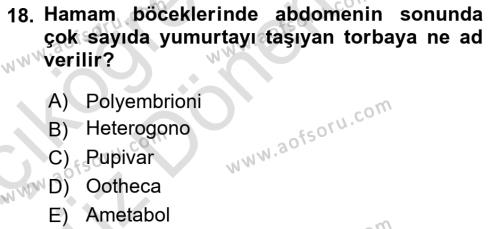 Entomoloji Dersi 2023 - 2024 Yılı (Vize) Ara Sınavı 18. Soru