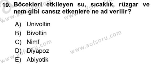 Entomoloji Dersi 2023 - 2024 Yılı (Vize) Ara Sınavı 19. Soru