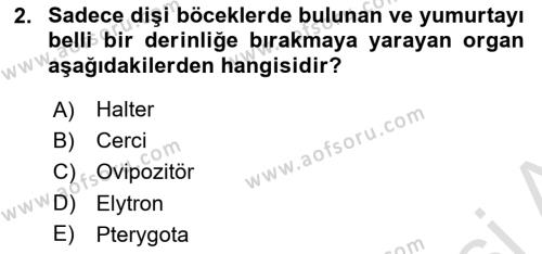 Entomoloji Dersi 2023 - 2024 Yılı (Vize) Ara Sınavı 2. Soru