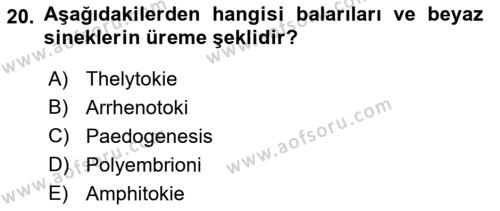Entomoloji Dersi 2023 - 2024 Yılı (Vize) Ara Sınavı 20. Soru