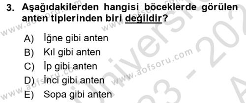 Entomoloji Dersi 2023 - 2024 Yılı (Vize) Ara Sınavı 3. Soru