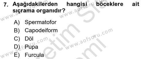 Entomoloji Dersi 2023 - 2024 Yılı (Vize) Ara Sınavı 7. Soru