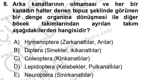 Entomoloji Dersi 2023 - 2024 Yılı (Vize) Ara Sınavı 8. Soru