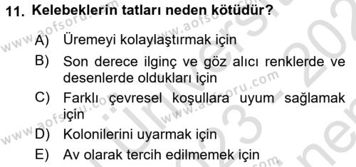 Entomoloji Dersi 2023 - 2024 Yılı (Final) Dönem Sonu Sınavı 11. Soru