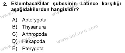 Entomoloji Dersi 2023 - 2024 Yılı (Final) Dönem Sonu Sınavı 2. Soru