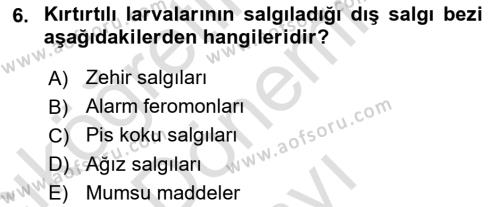 Entomoloji Dersi 2023 - 2024 Yılı (Final) Dönem Sonu Sınavı 6. Soru