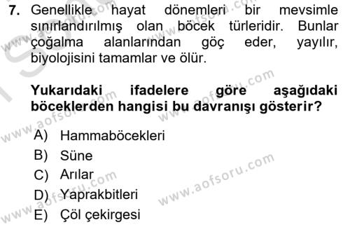 Entomoloji Dersi 2023 - 2024 Yılı (Final) Dönem Sonu Sınavı 7. Soru